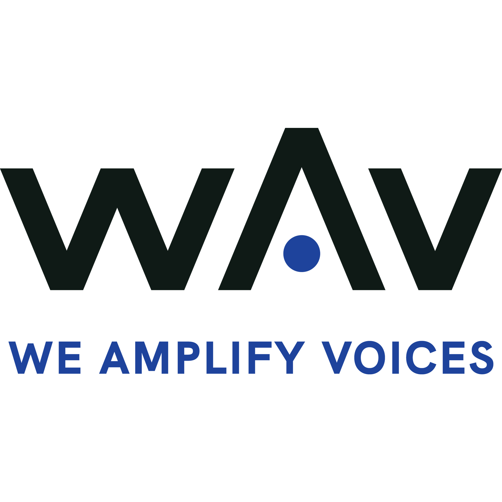 We Amplify Voices logo
